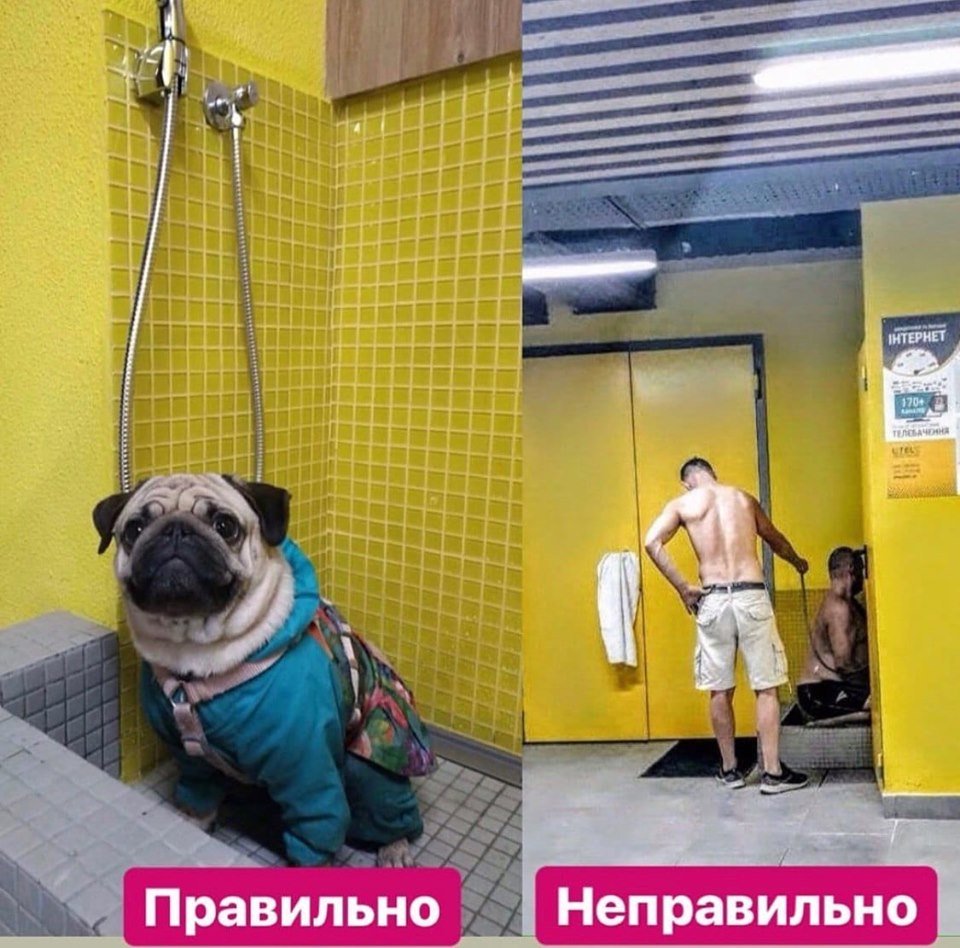 Фото: типичный Киев