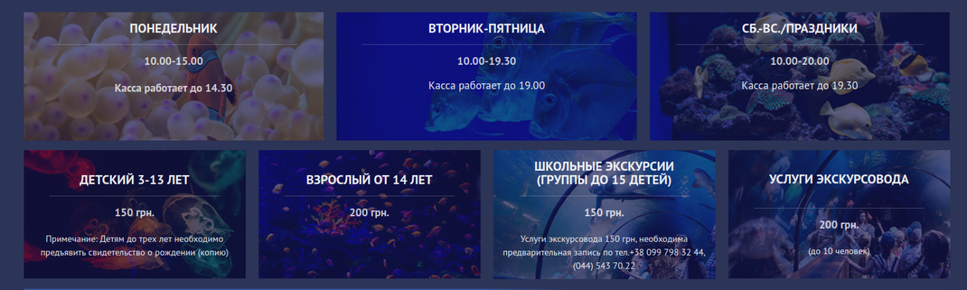 Куда пойти с детьми в Киеве Куда пойти с детьми в Киеве