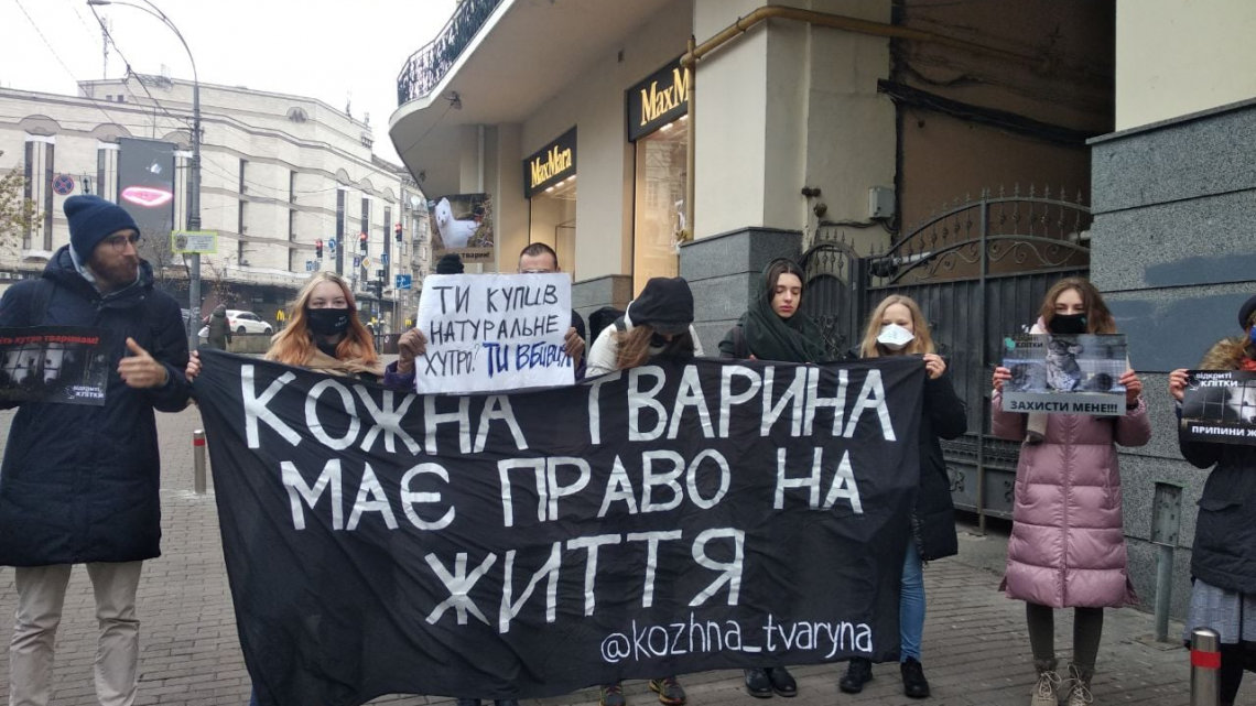 Активисты в Киеве устроили антимеховую акцию, ФОТО, ВИДЕО, фото-2, 5 канал