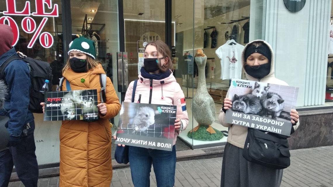 Активисты в Киеве устроили антимеховую акцию, ФОТО, ВИДЕО, фото-1, 5 канал