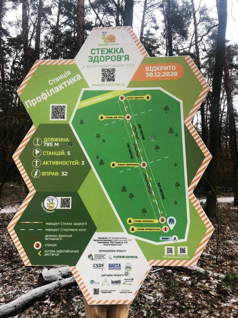 Как выглядит "тропа здоровья" в лесу на Виноградаре, Фото "Киевзеленстроя"