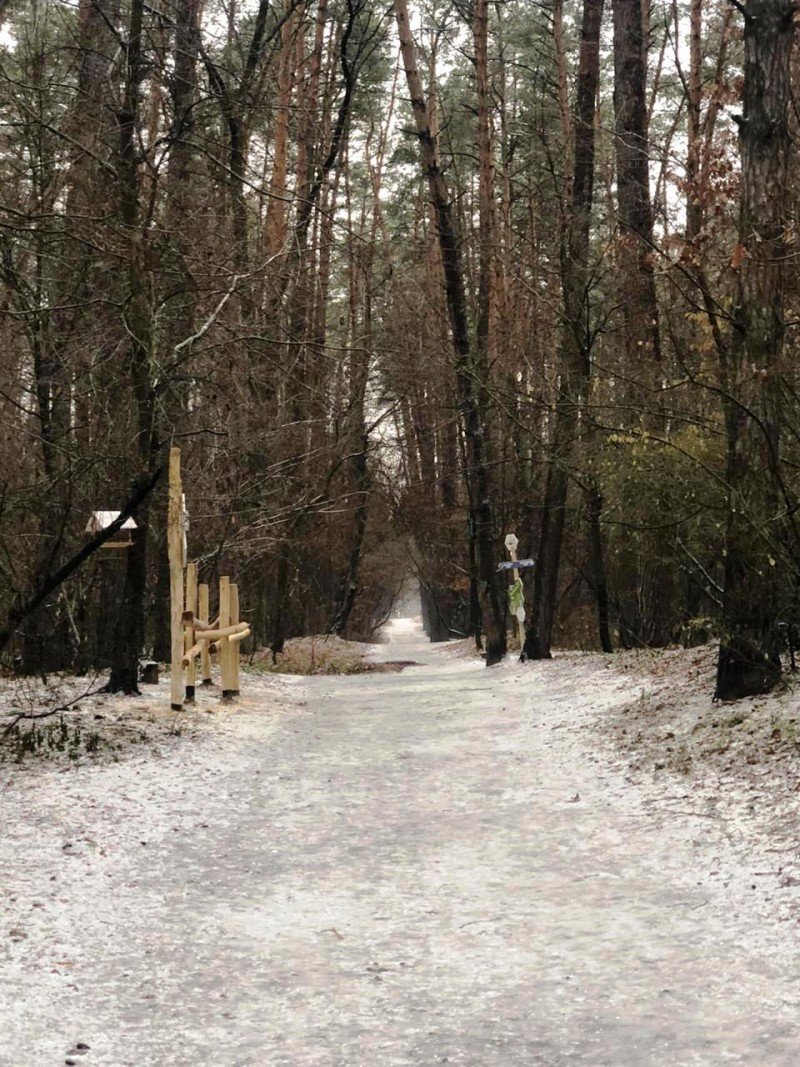 Как выглядит "тропа здоровья" в лесу на Виноградаре, Фото "Киевзеленстроя"
