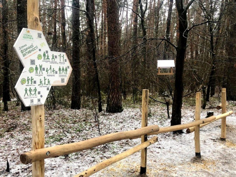 Как выглядит "тропа здоровья" в лесу на Виноградаре, Фото "Киевзеленстроя"