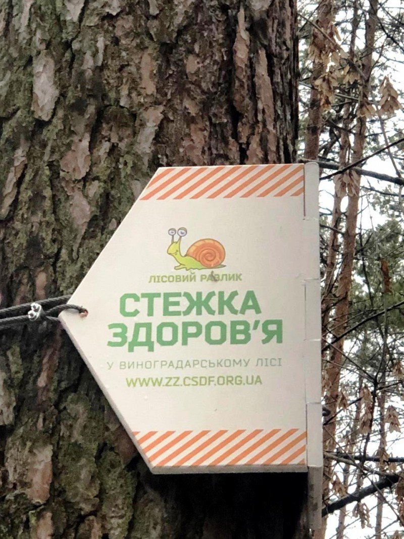 Как выглядит "тропа здоровья" в лесу на Виноградаре, Фото "Киевзеленстроя"