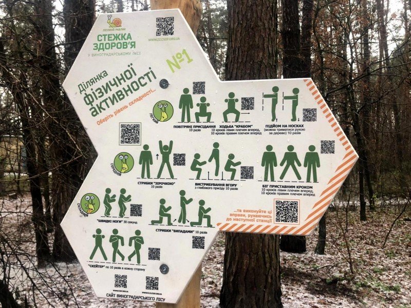 Как выглядит "тропа здоровья" в лесу на Виноградаре, Фото "Киевзеленстроя"