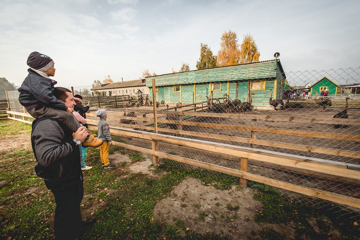 Долина страусов под Киевом: что интересного в ясногородском мини-зоопарке, - ФОТО, Фото: Долина страусов