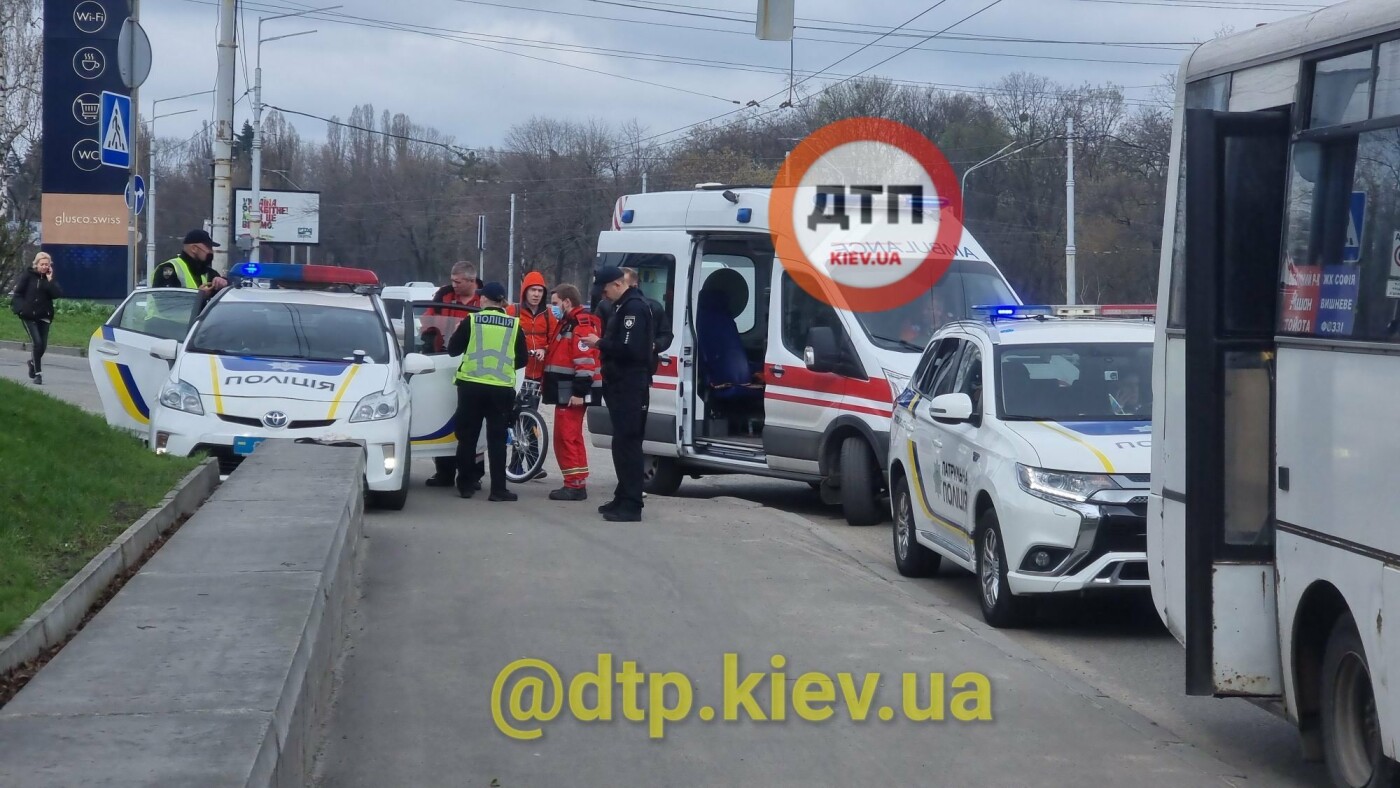 В Киеве водитель маршрутки устроил драку с полицией