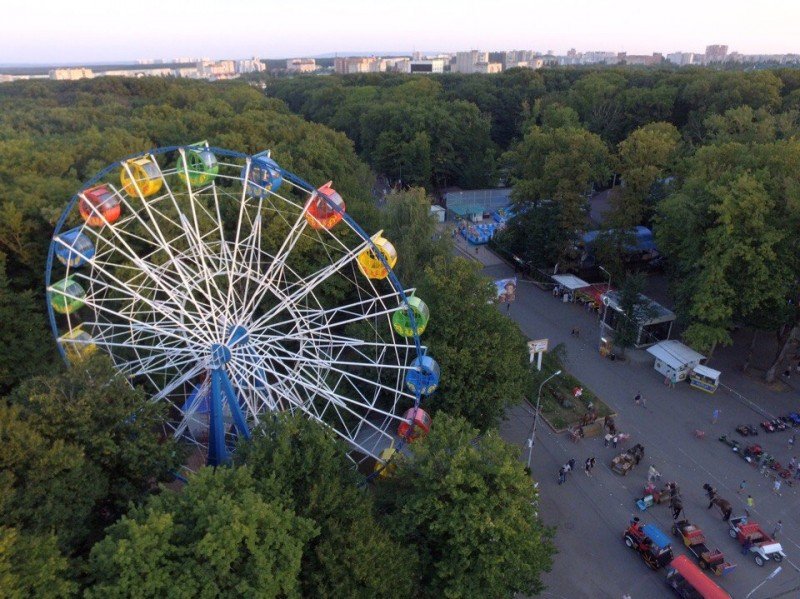 Колесо обозрения в Киевском зоопарке, Фото: КиевВласть