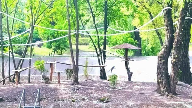 В Киевском зоопарке создали новый вольер для лемуров