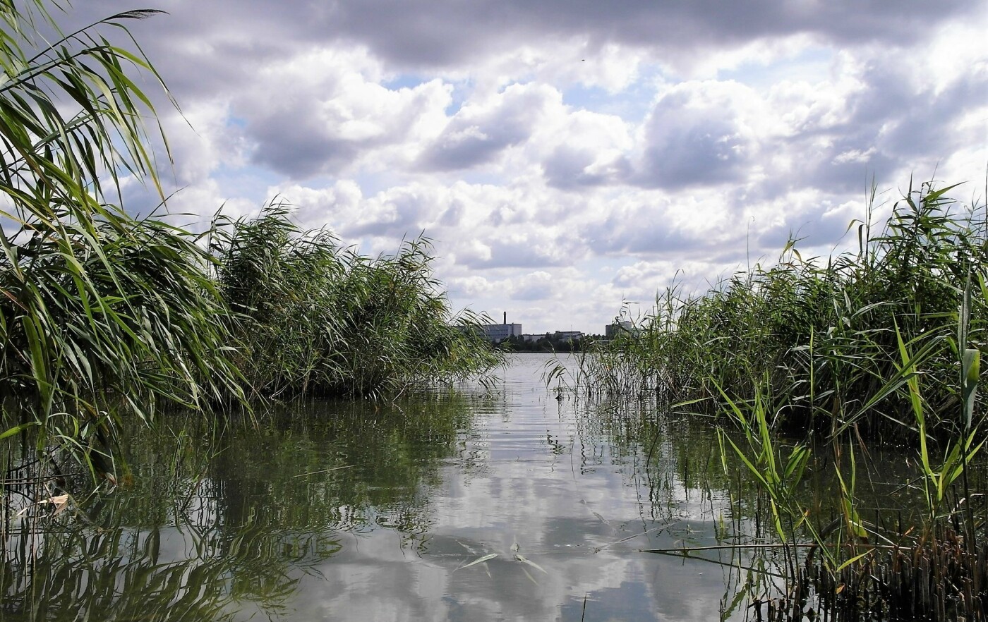 Застройка, мистика и самоочищение: озеро Вырлица в Киеве, фото: Валерий Прокофьев