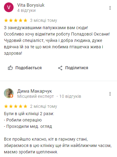 Ветеринарная клиника Киев: куда отвезти питомца, - АДРЕСА, ОТЗЫВЫ, фото-14