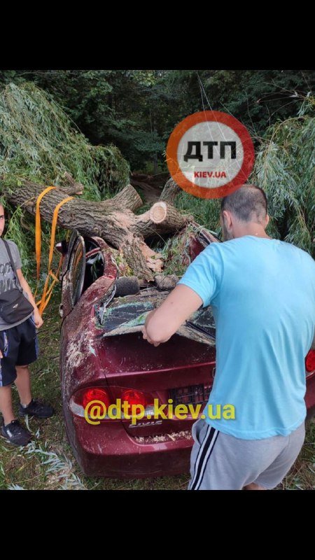 Последствия непогоды в Киевской области, Фото: dtp.kiev.ua