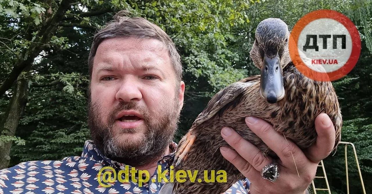 Влад Антонов спас 5 особей птиц от массового мора, Фото: dtp.kiev.ua