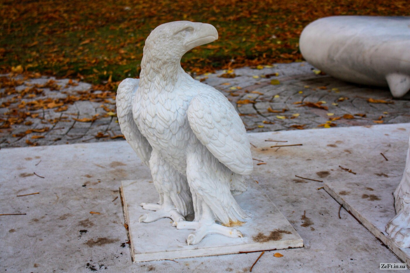 Орел возле памятника, Фото: Zeft