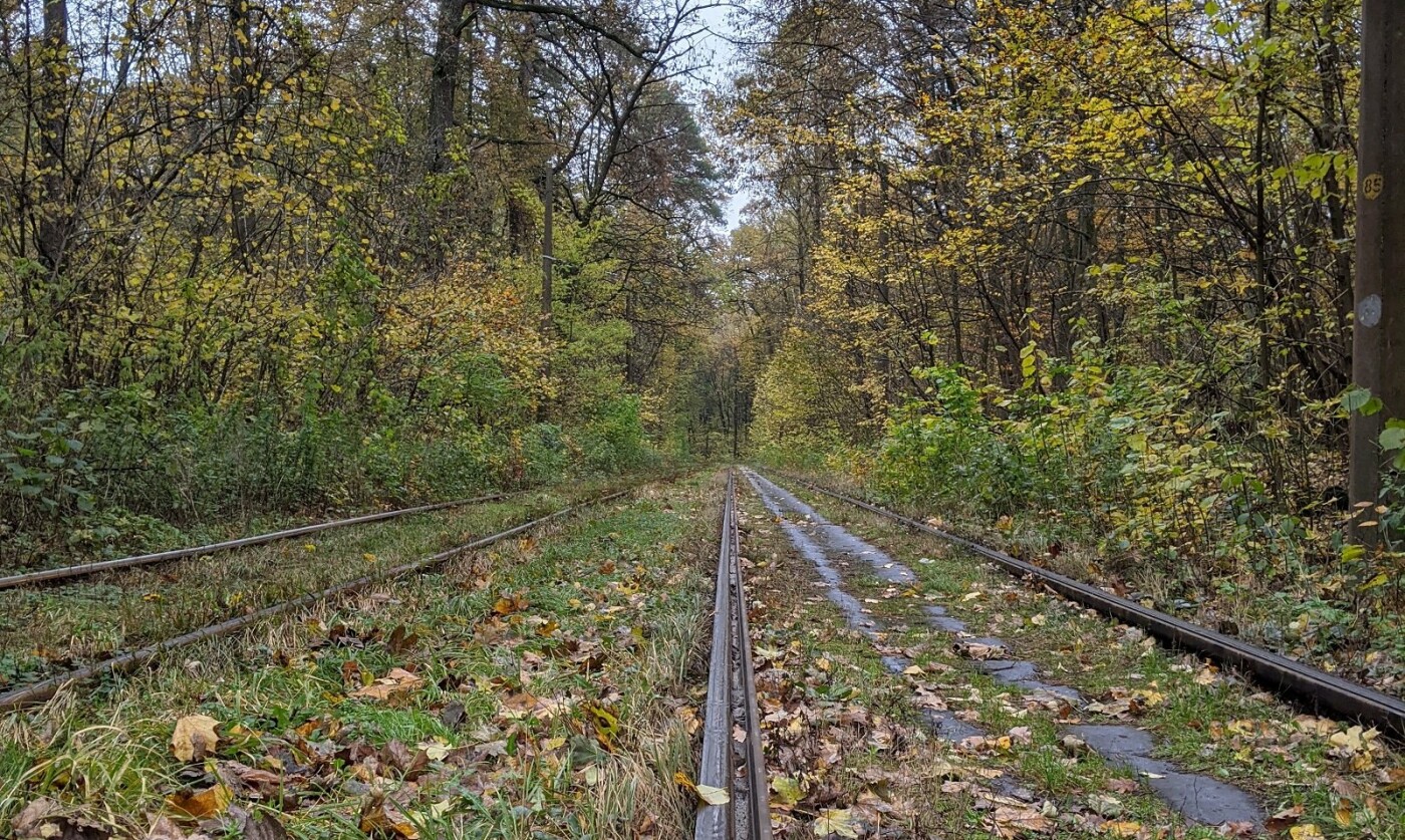 Дорога на Пуща-Водицу, Фото: Andrii Nemchenko