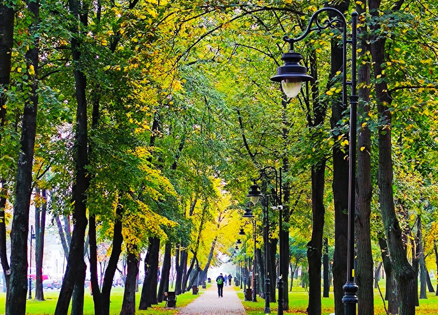Куреневский парк в Киеве
