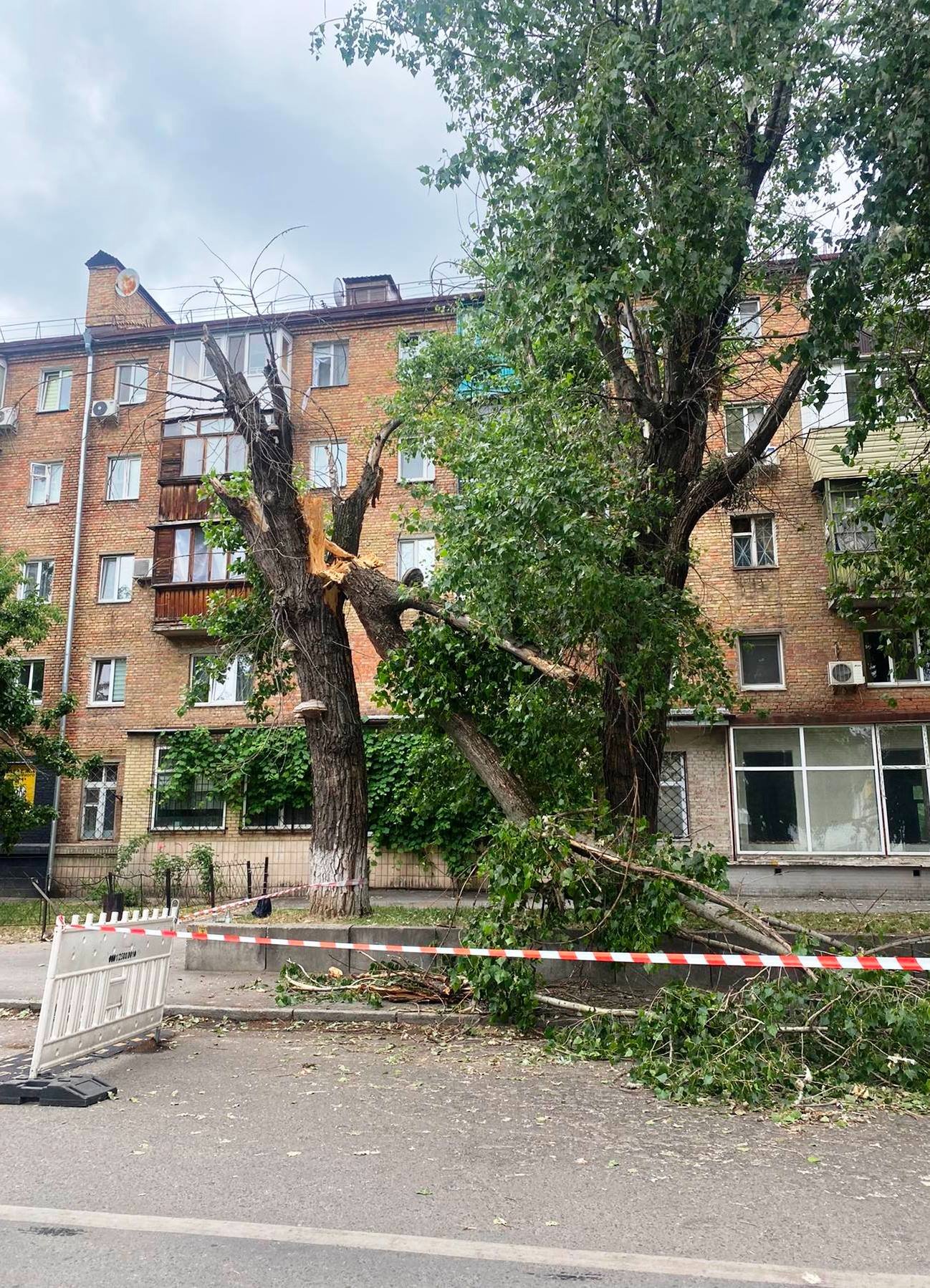 У Києві комунальники прибирали повалені дерева