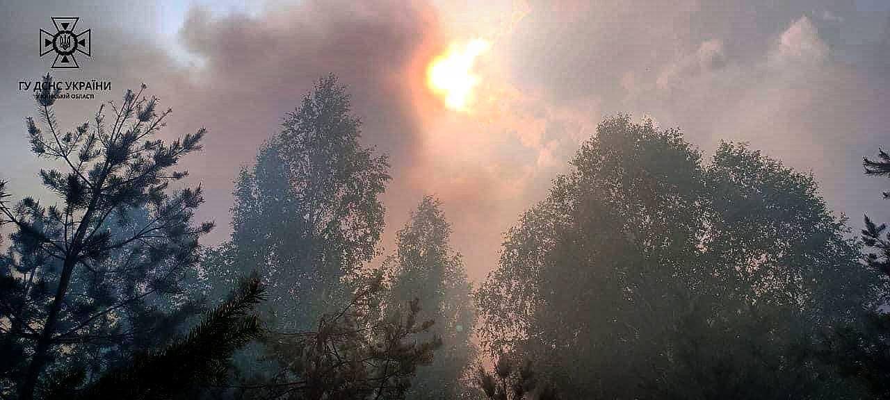 На Київщині сталася масштабна пожежа в екосистемі