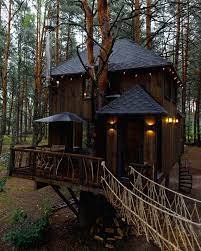 Будинок на дереві «Tree House Lodge»