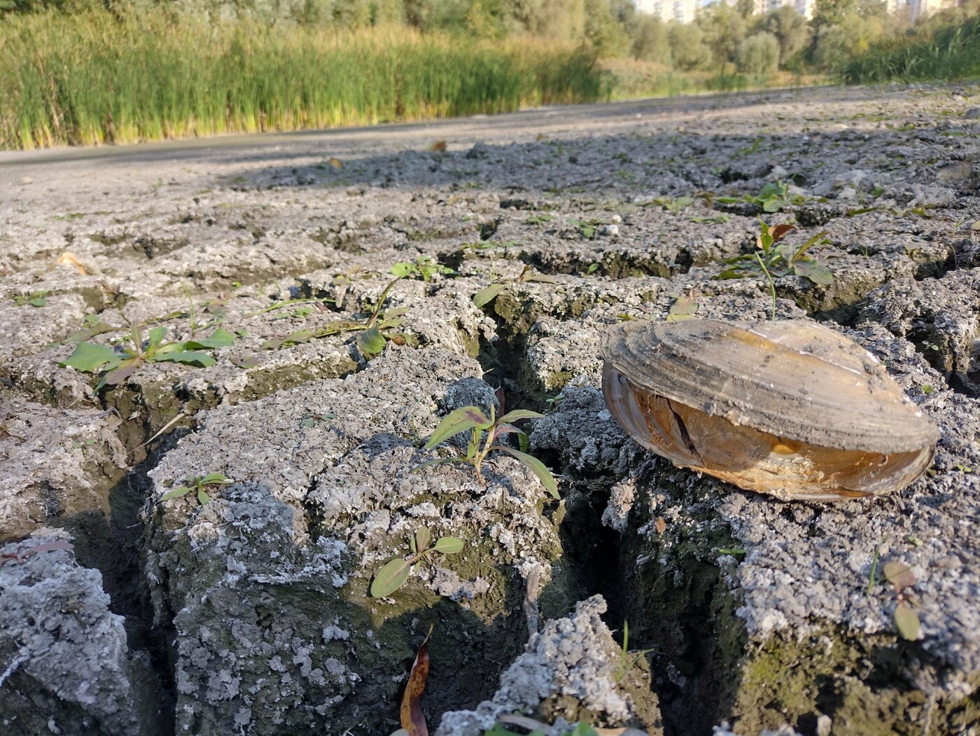 Озеро Синее полностью высохло