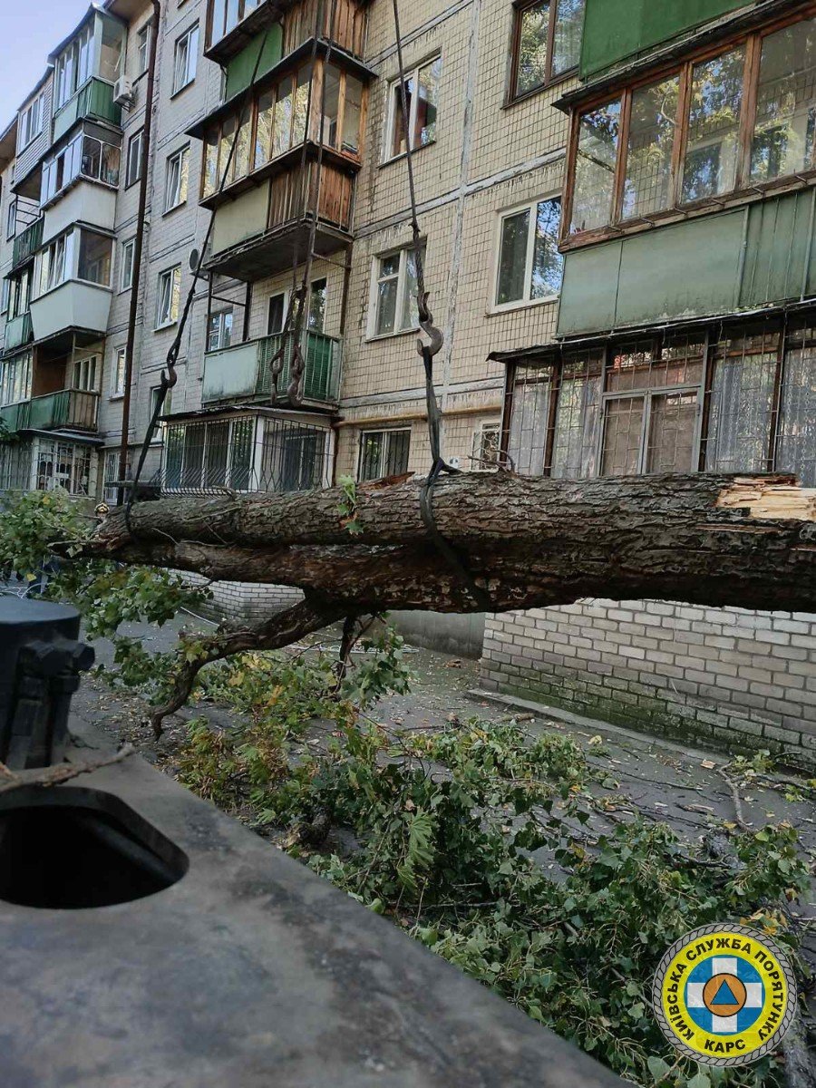 У Києві рятувальники прибрали гілки дерева