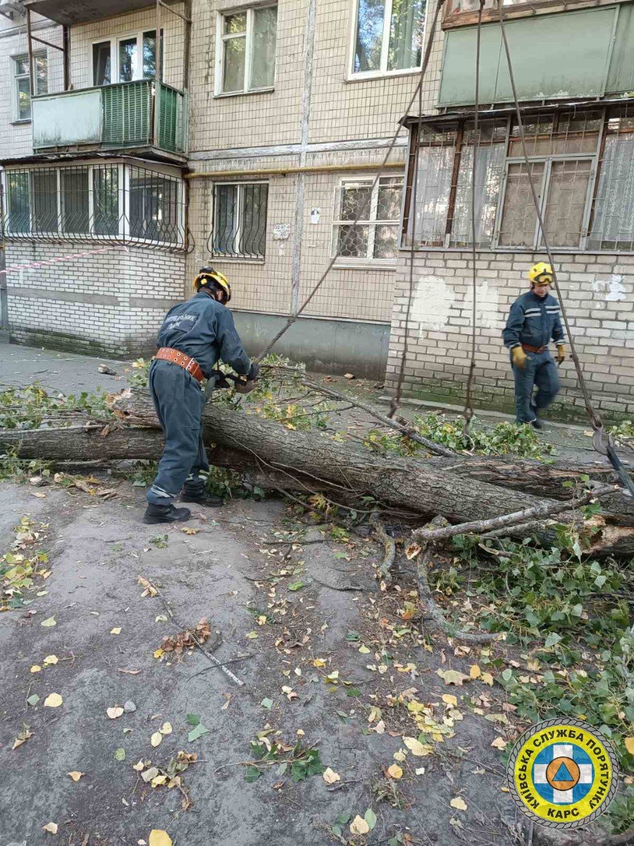 У Києві рятувальники прибрали гілки дерева