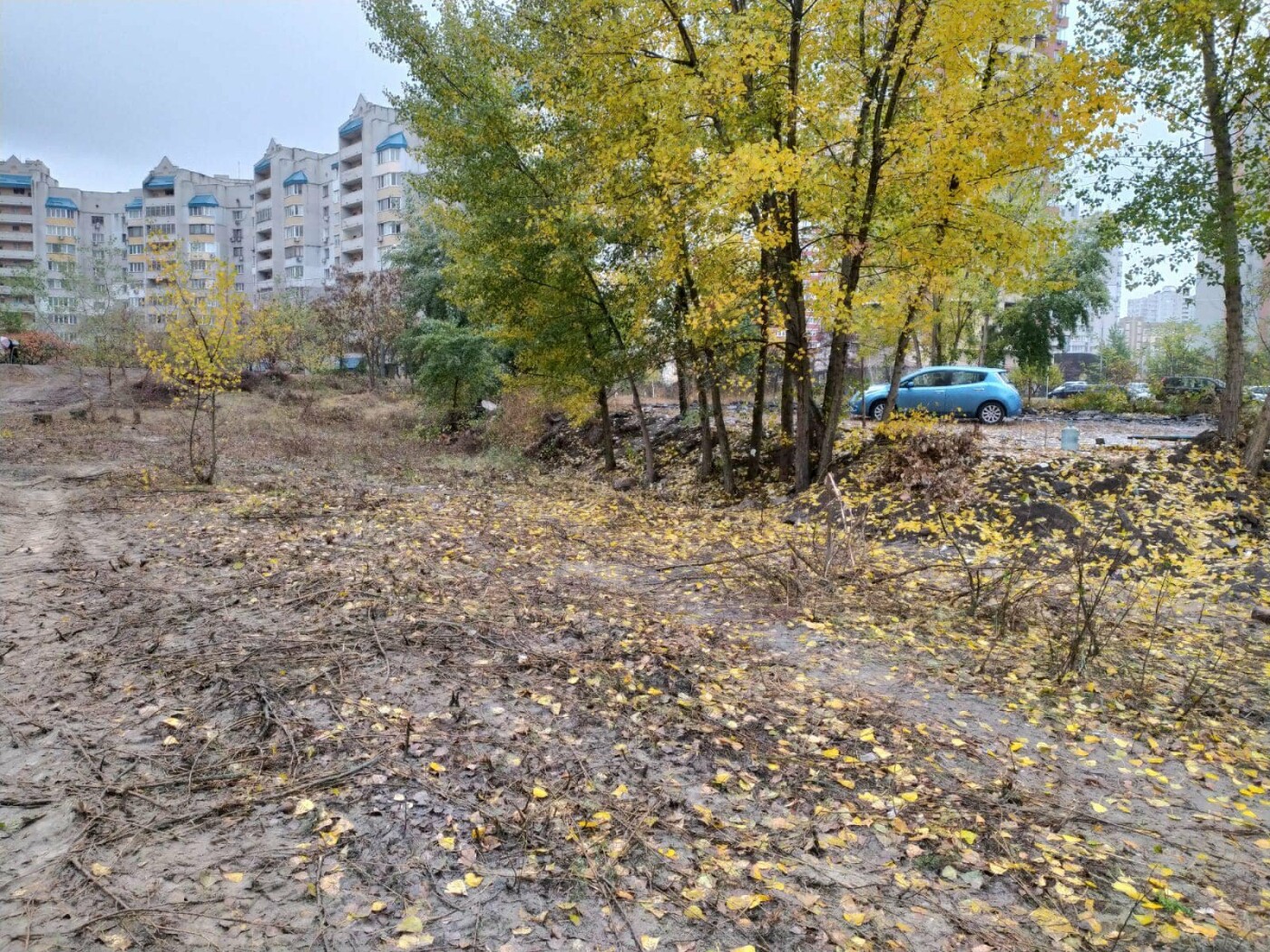 У Дарницькому районі столиці прибрали стихійне звалище