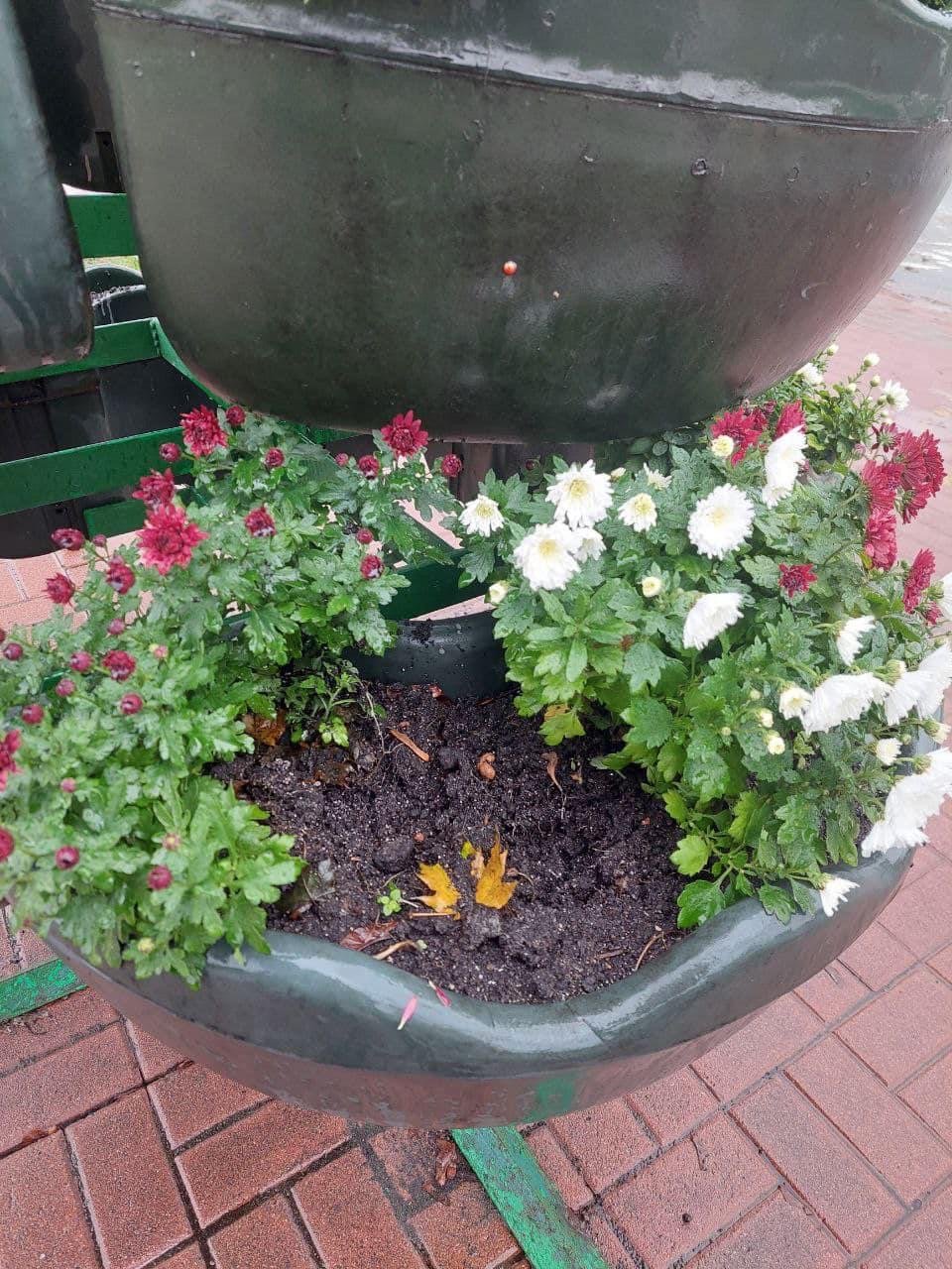 У столиці покрали квіти з парку «Відравний»