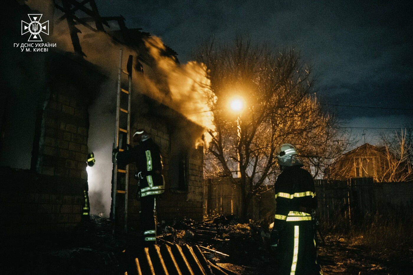Під час пожежі в Києві вогнеборці врятували кошеня і песика