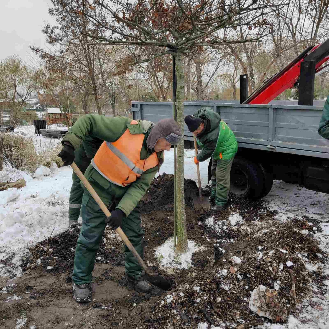 У Дніпровському районі висадили нові дерева та кущі.