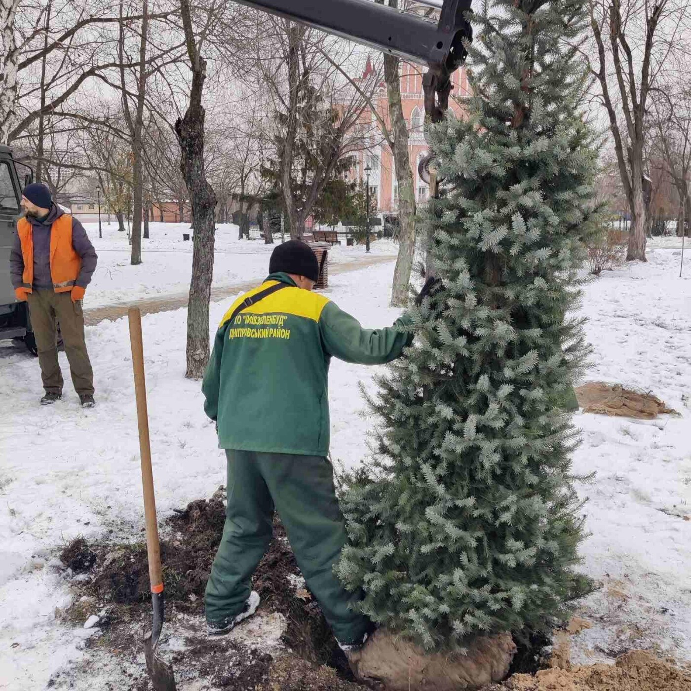 У Дніпровському районі висадили нові дерева та кущі.