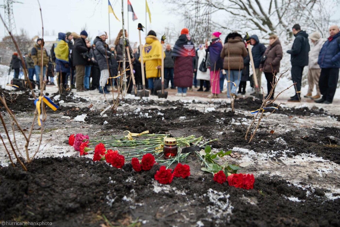 Містяни висадили у київському парку калину в памʼять про загиблих Оленівці