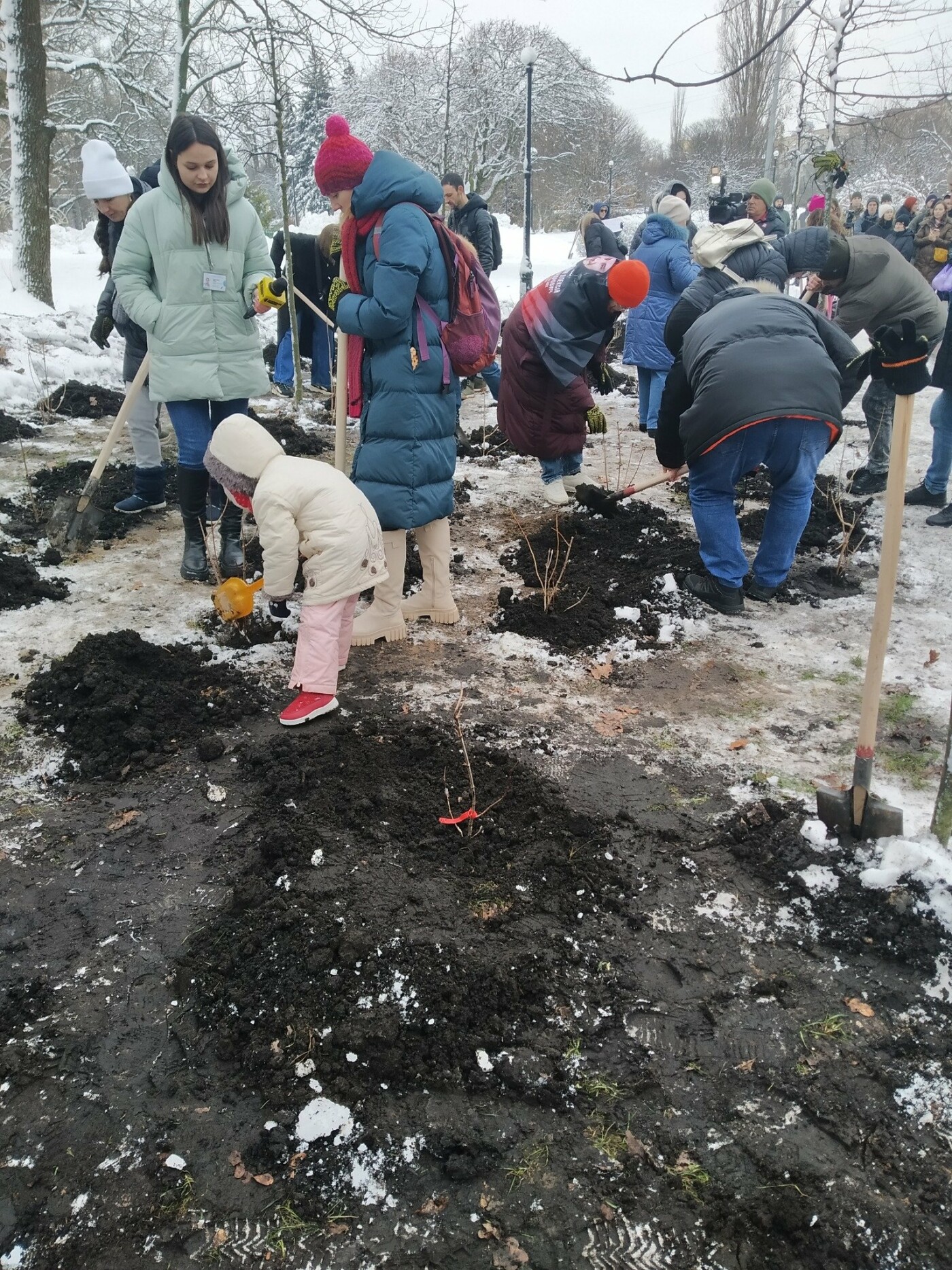 Містяни висадили у київському парку калину в памʼять про загиблих Оленівці