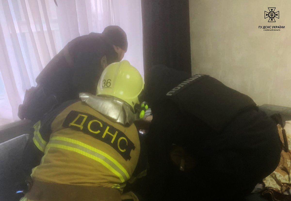 Рятувальники допомогли жінці, руку якої затисло диваном