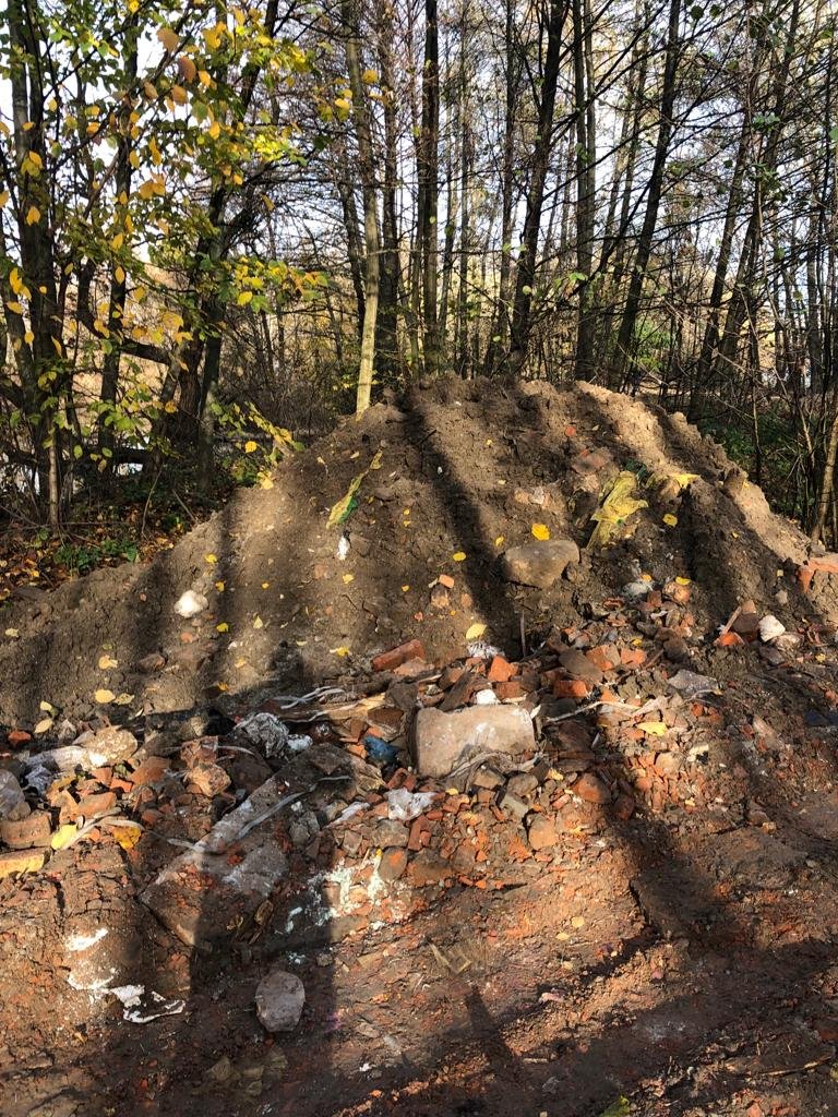 У столиці заказник “Озеро Тягле” забруднили будівельним сміттям