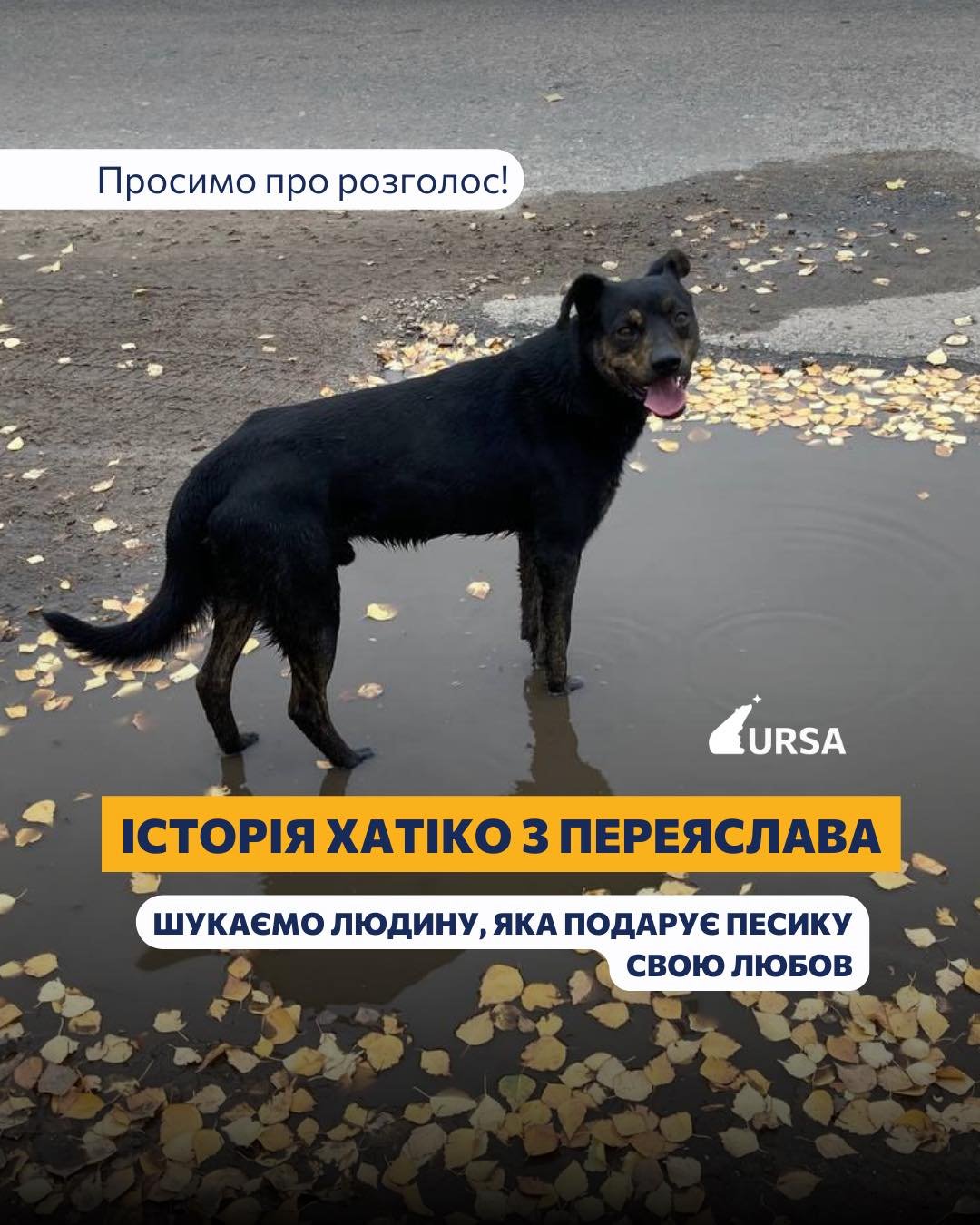 Переяславський Хатіко