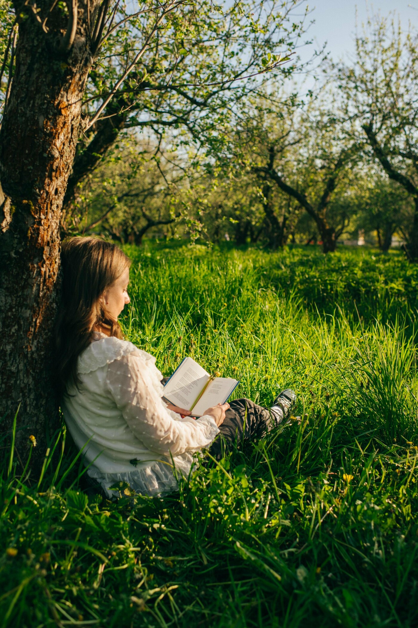 На ВДНГ відбудеться фестиваль «Книжкова країна»