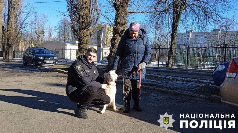 Поцупили собаку, доки власниця була в магазині
