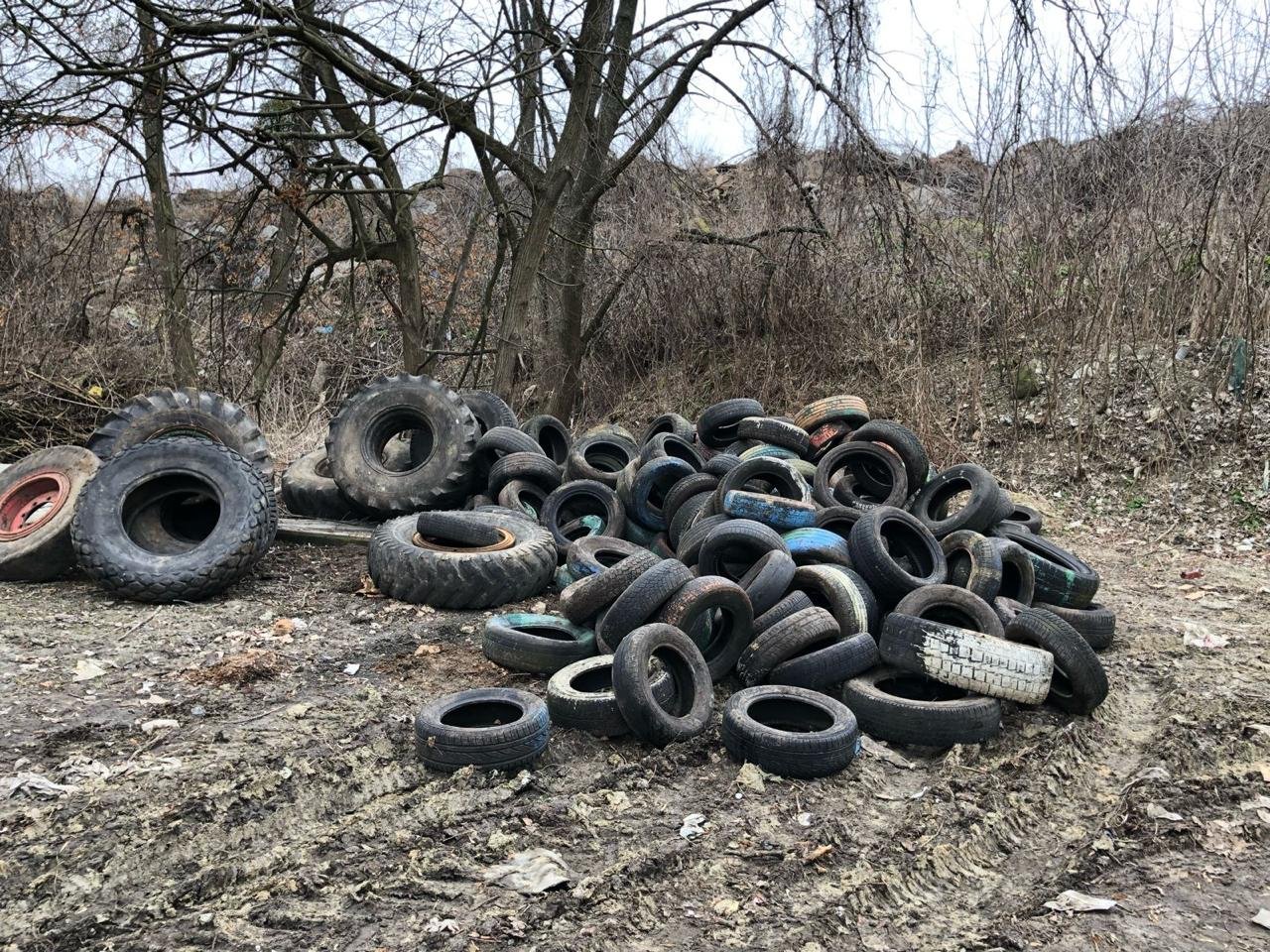Перетворили земельну ділянку на смітник