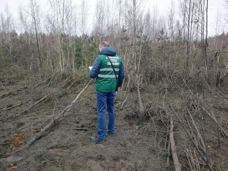 Фахівці фіксують збитки на Київщині від ворожого обстрілу 15 лютого