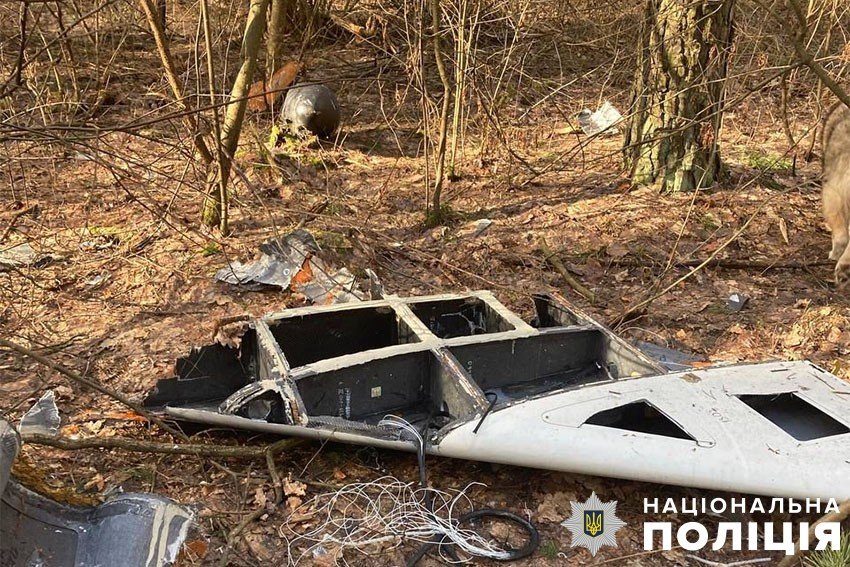 Киянин знайшов у лісосмузі рештки збитого “шахеда”