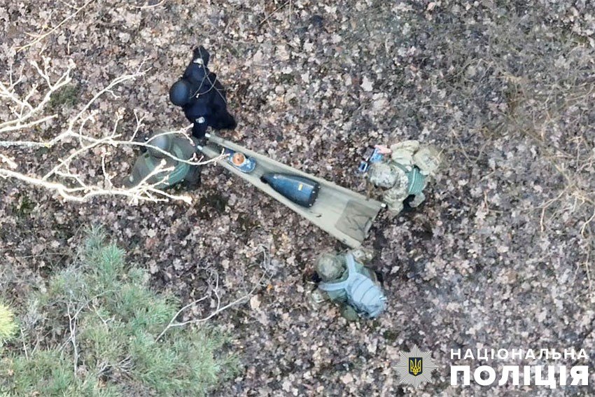 Киянин знайшов у лісосмузі рештки збитого “шахеда”