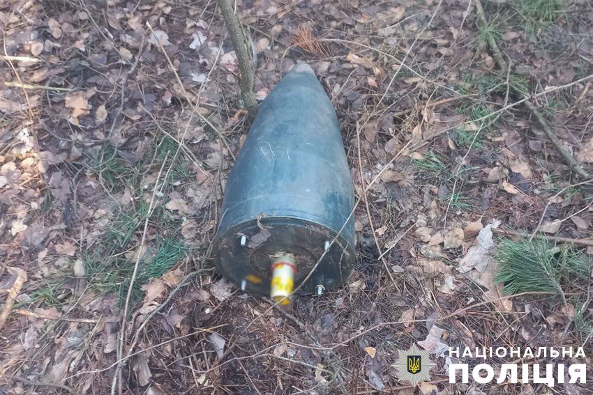 Киянин знайшов у лісосмузі рештки збитого “шахеда”