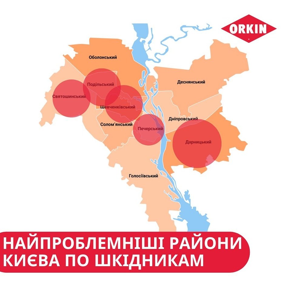 Де найбільше шкідників у Києві
