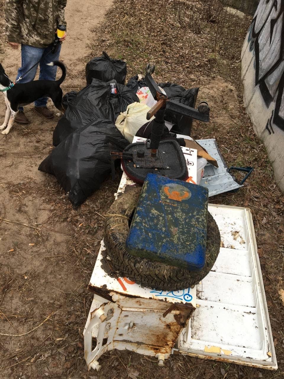 Активісти у Києві розчистили від сміття озеро Жандарка