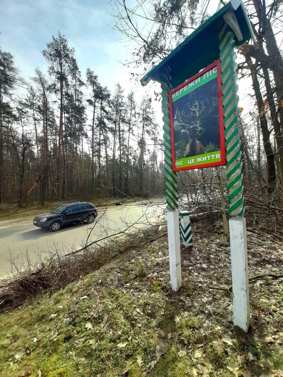 На Святошино у Києві комунальники прибрали сміття в лісі