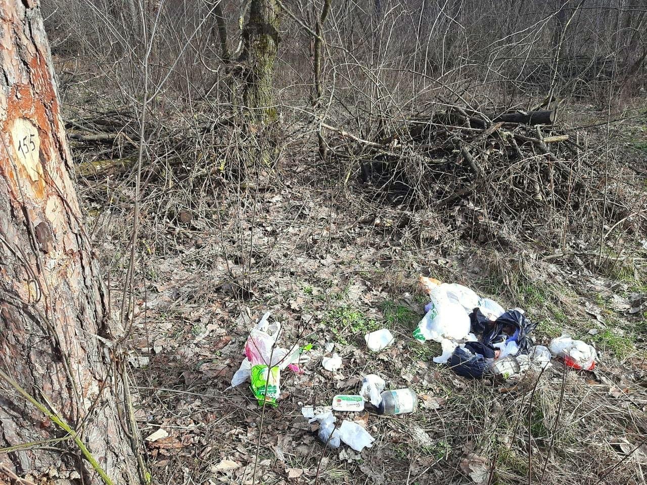 На Святошино у Києві комунальники прибрали сміття в лісі