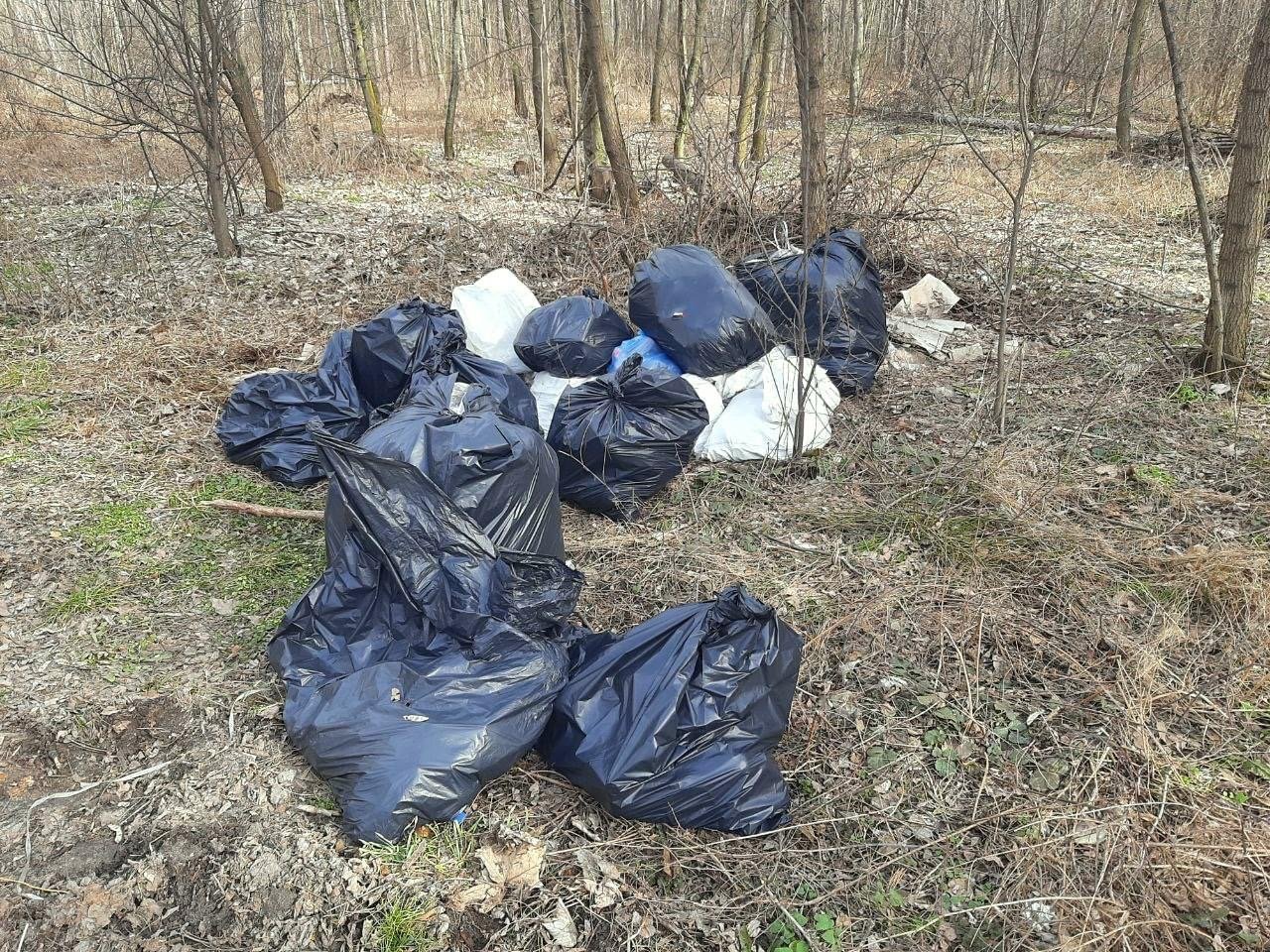 На Святошино у Києві комунальники прибрали сміття в лісі