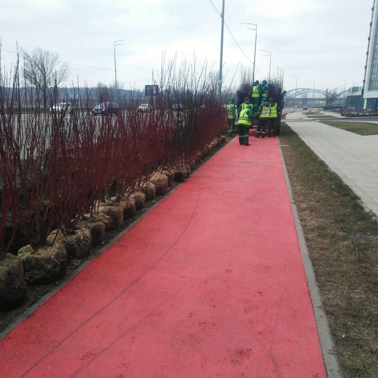 На Дніпровській набережній висадили живопліт