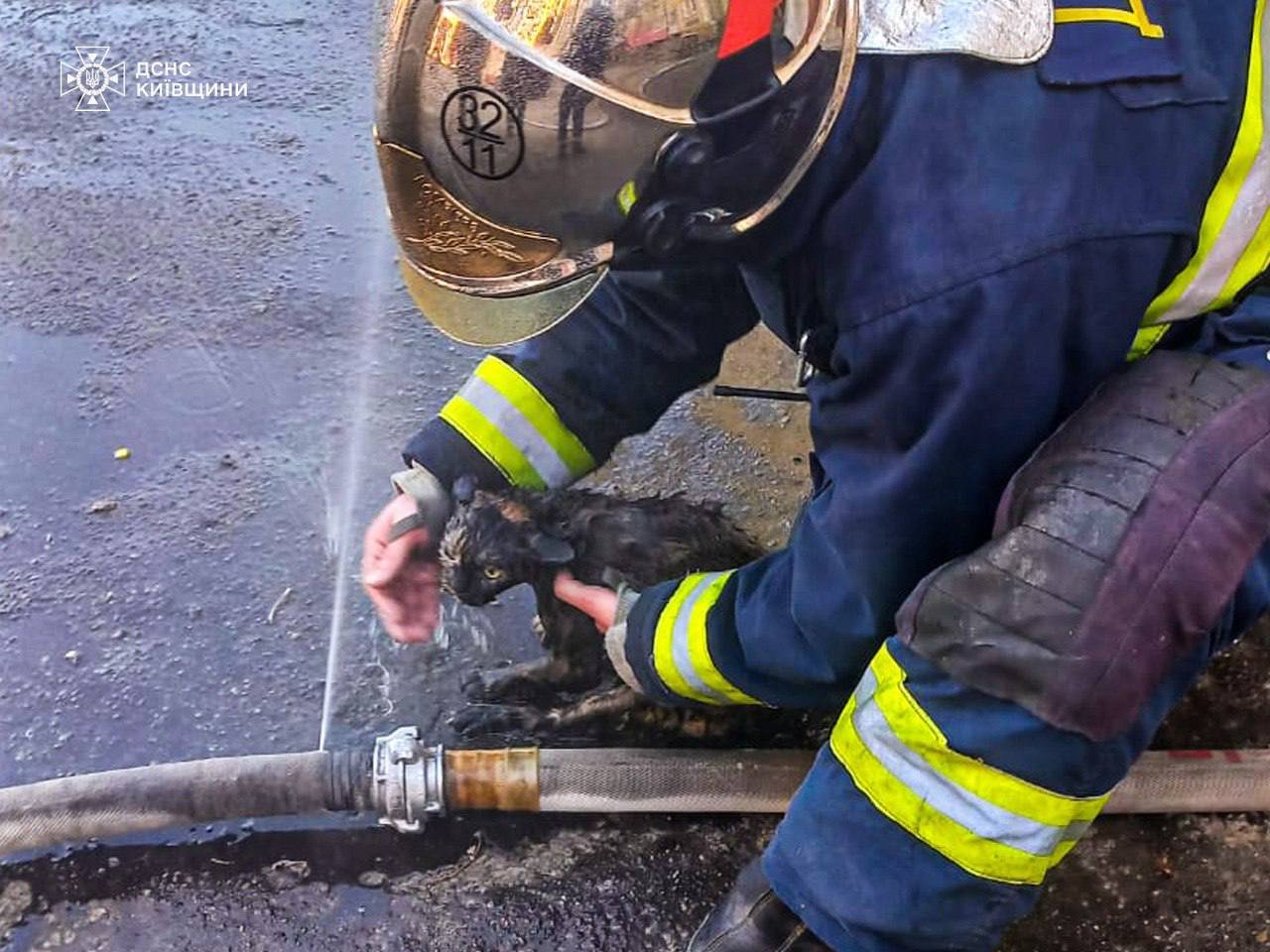 З задимленої квартири на Київщині врятували двох дітей та котика